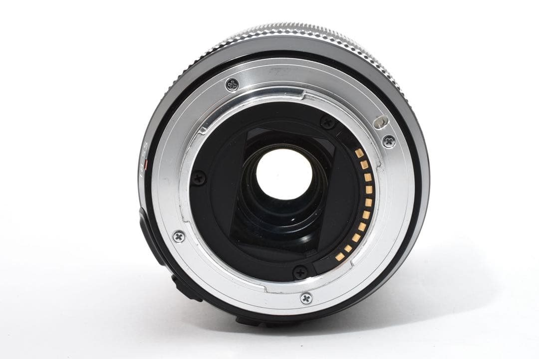 FUJIFILM XF 18-55mm F2.8-4 R LM OIS 望遠