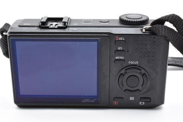 シグマ SIGMA DP2 Merrill