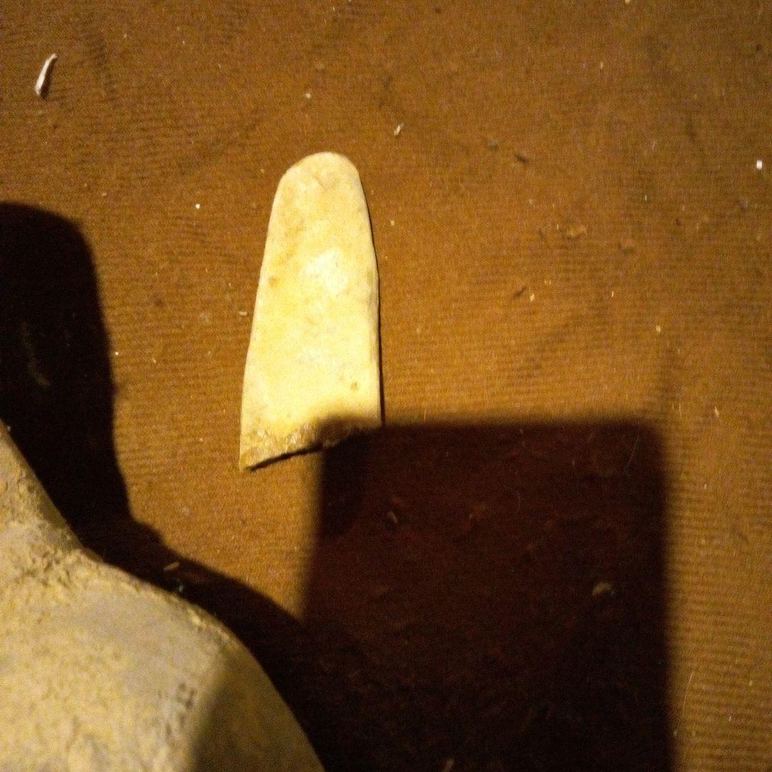 中国陶磁器　古代　俑