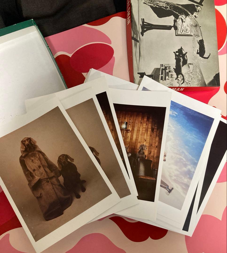 サルバドール　ダリ　ウィリアム　ウェグマン　ポストカードセット　20枚　レア