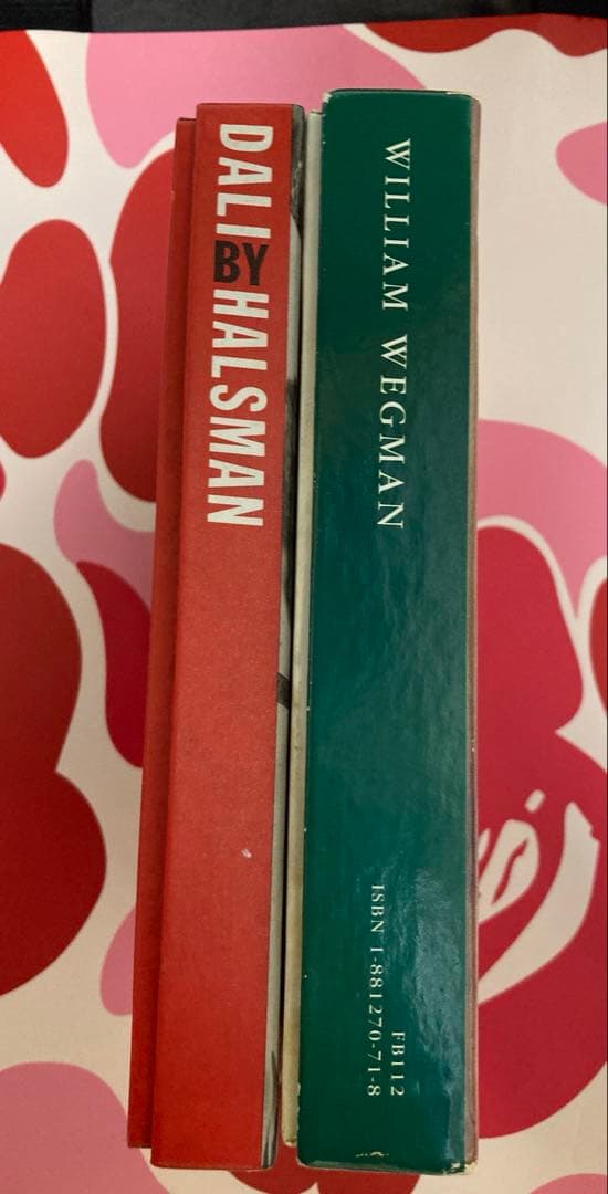 サルバドール　ダリ　ウィリアム　ウェグマン　ポストカードセット　20枚　レア