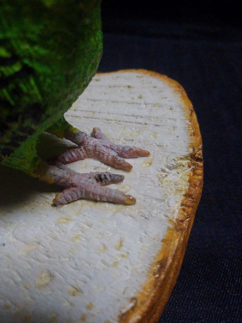 実物大 木彫りのセキセイインコと食パン