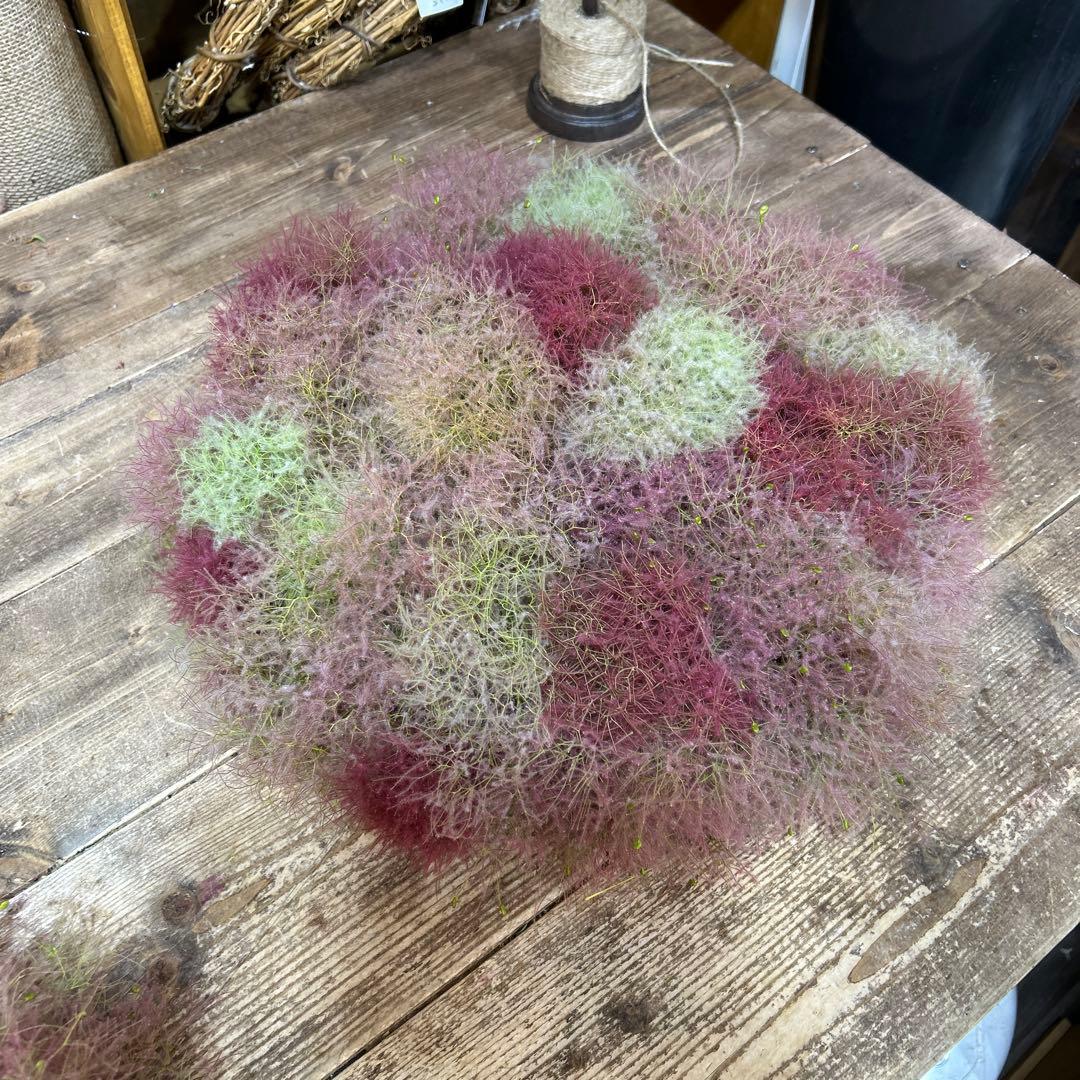 スモークツリーの2段リース