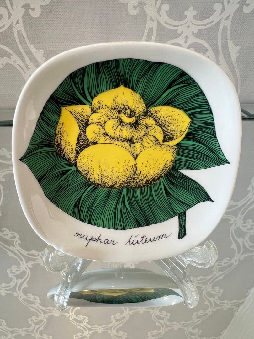 【アラビア　ボタニカ　キバナスイレン　エステリ】