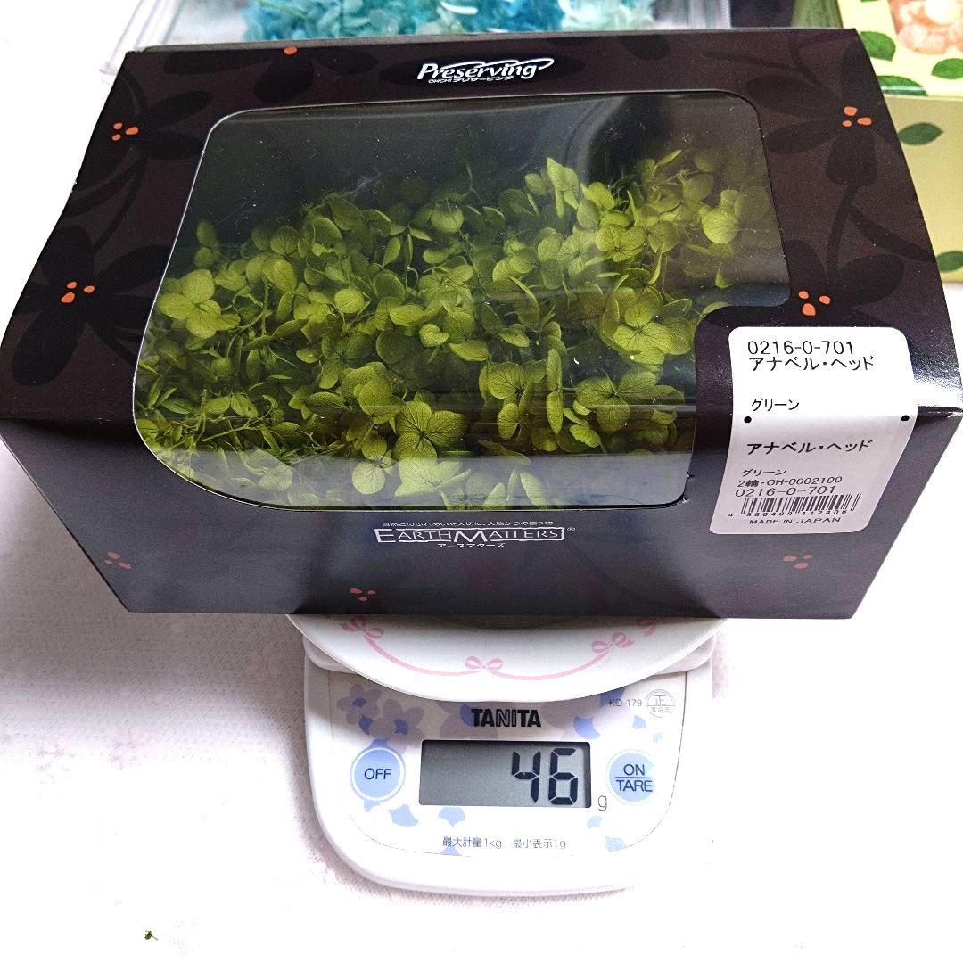 【まとめ売り1】プリザーブドフラワー花材セット 5色他 アジサイ系 ケース入り