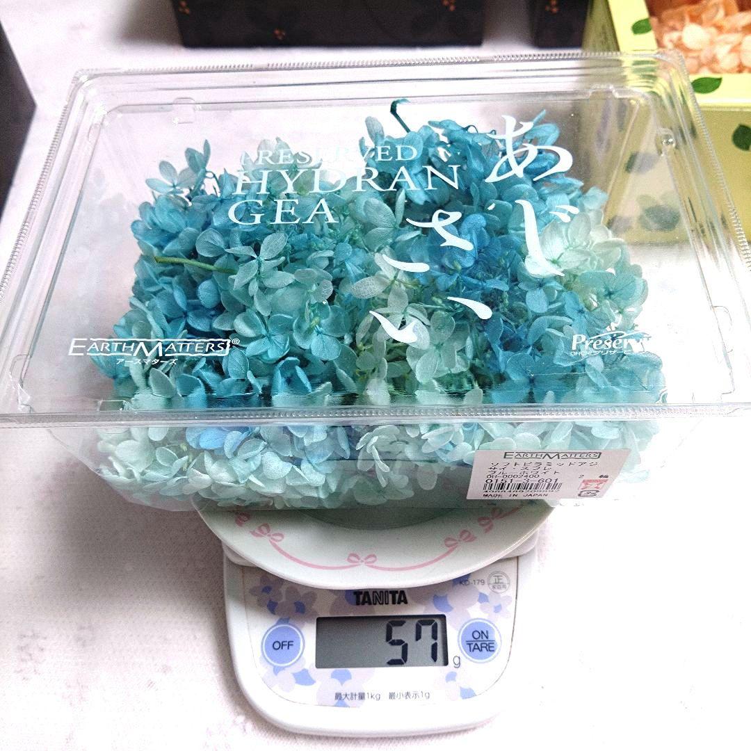 【まとめ売り1】プリザーブドフラワー花材セット 5色他 アジサイ系 ケース入り