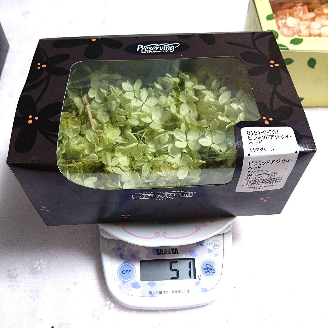 【まとめ売り1】プリザーブドフラワー花材セット 5色他 アジサイ系 ケース入り