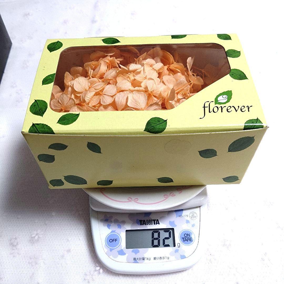 【まとめ売り1】プリザーブドフラワー花材セット 5色他 アジサイ系 ケース入り