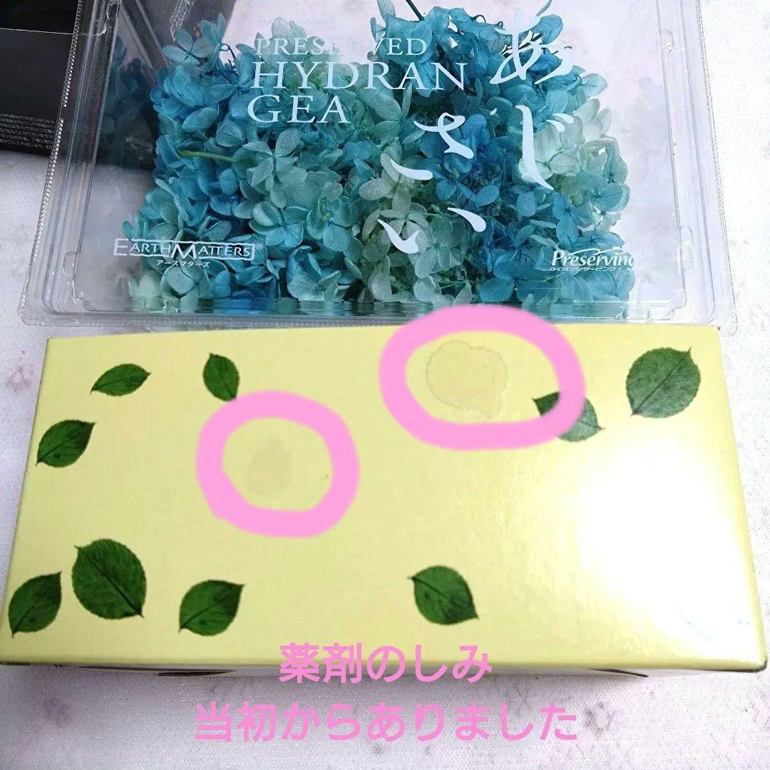 【まとめ売り1】プリザーブドフラワー花材セット 5色他 アジサイ系 ケース入り