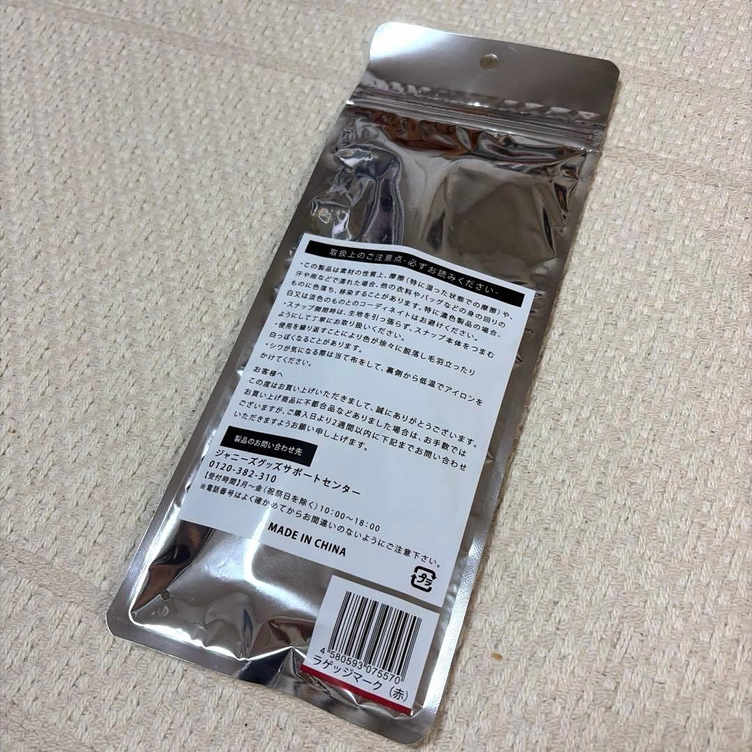 【美品】嵐を旅する展覧会　Noritakeトートバッグ　ラゲッジタグ(赤)