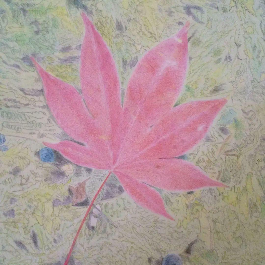 絵画 もみじの葉　色鉛筆