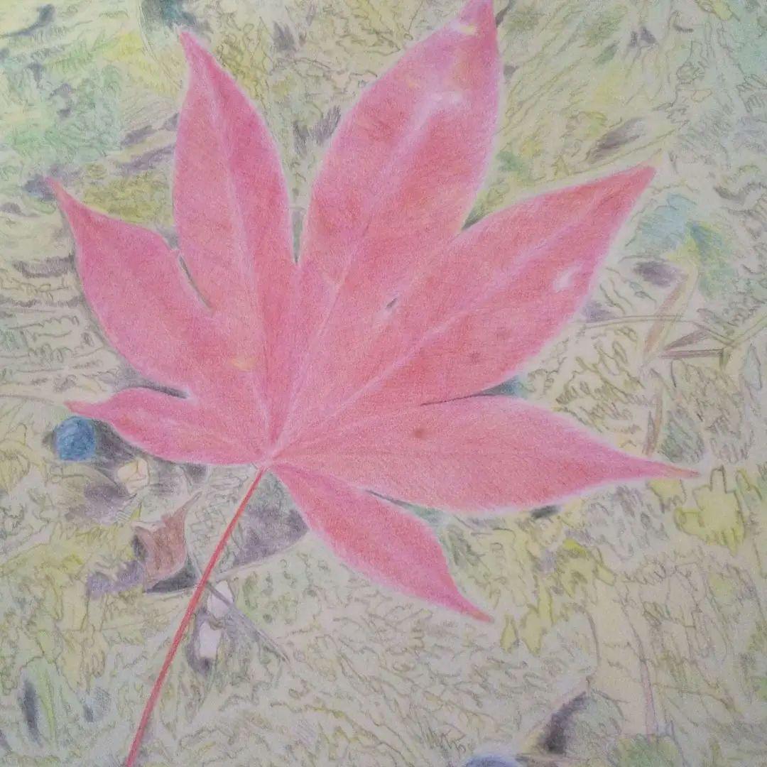 絵画 もみじの葉　色鉛筆