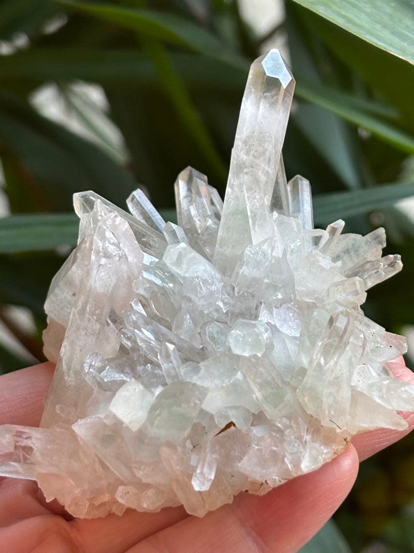 貴重　マダガスカル産　グリーンファントム　クラスター　167g 品薄　希少