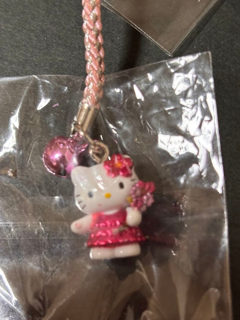 激レア❣️未使用未開封！ご当地キティ 超絶可愛い♡桜バージョン 愛知万博 春の和み