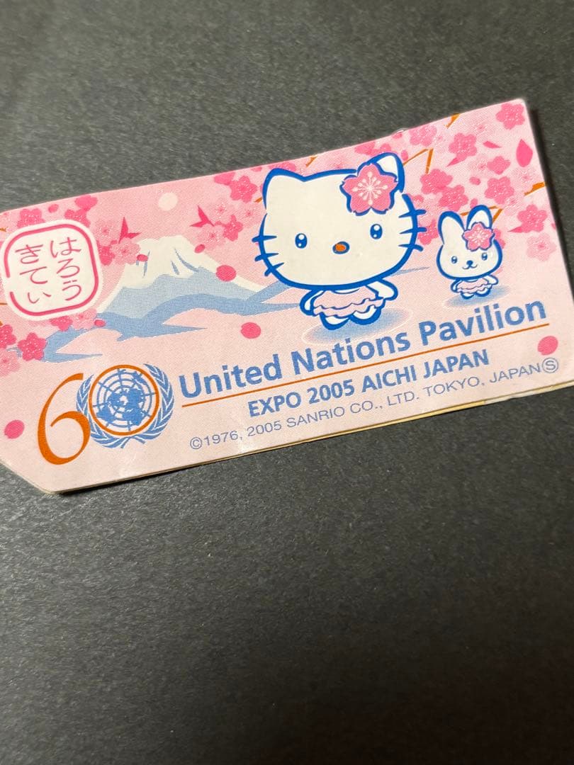 激レア❣️未使用未開封！ご当地キティ 超絶可愛い♡桜バージョン 愛知万博 春の和み