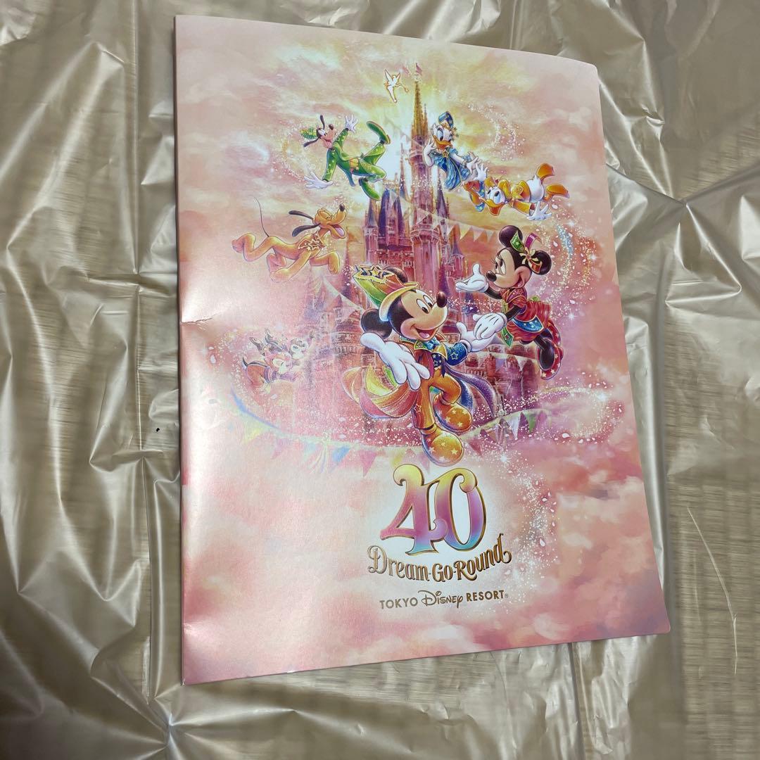 ディズニー40周年タペストリー　ハトメなし 両面キャラクター絵柄