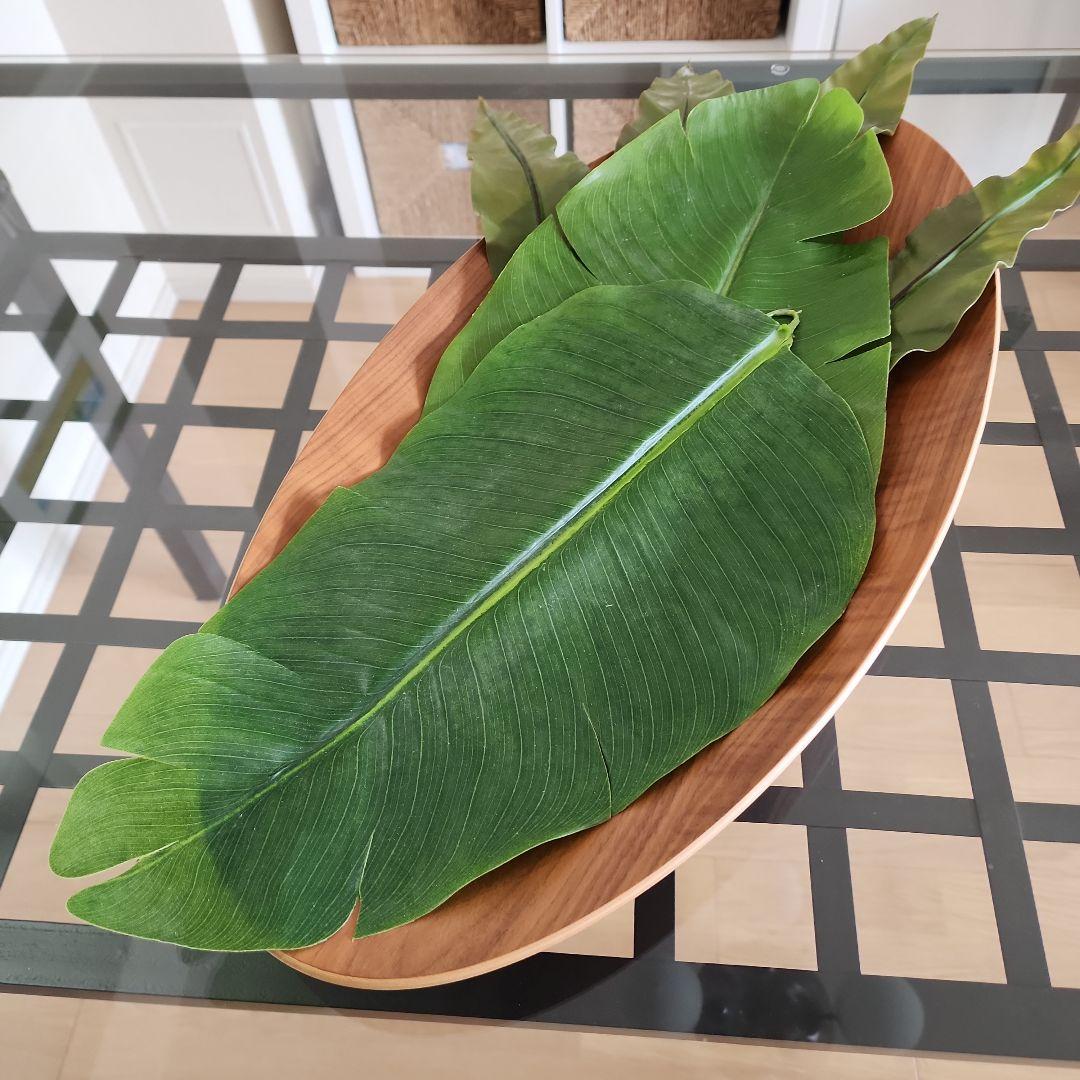 新品未使用　天然木　ラージ 60cm オーバルトレイ 3枚セット