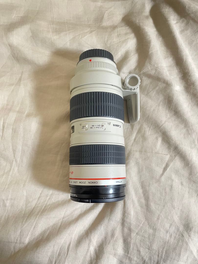 Canon 望遠レンズ 70-200mm f/2.8L