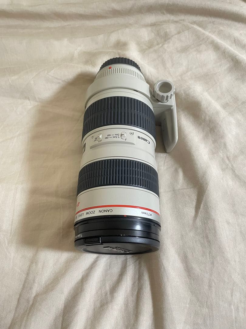 Canon 望遠レンズ 70-200mm f/2.8L