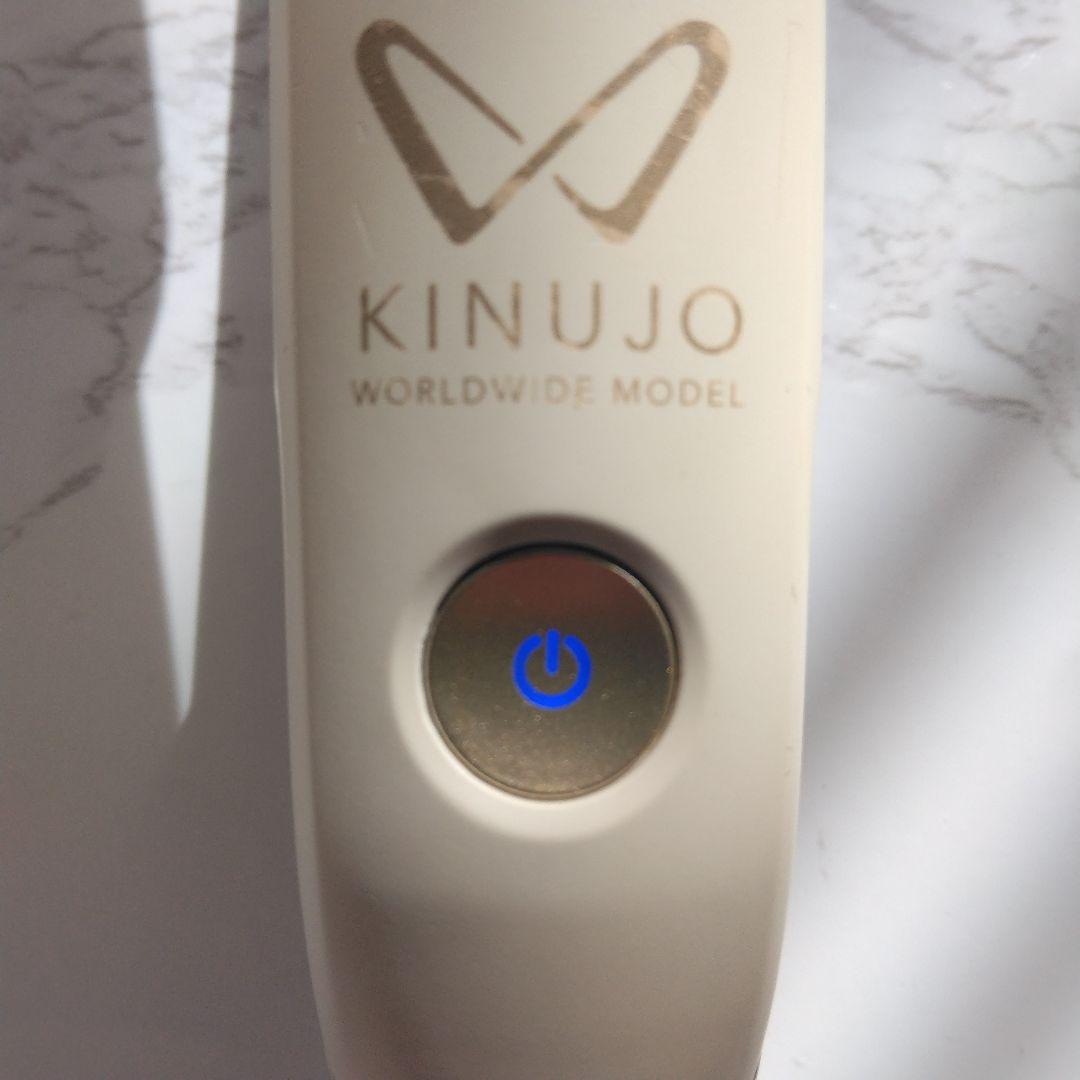 病は気から　絹女　KINUJO　ストレートアイロン　DS100