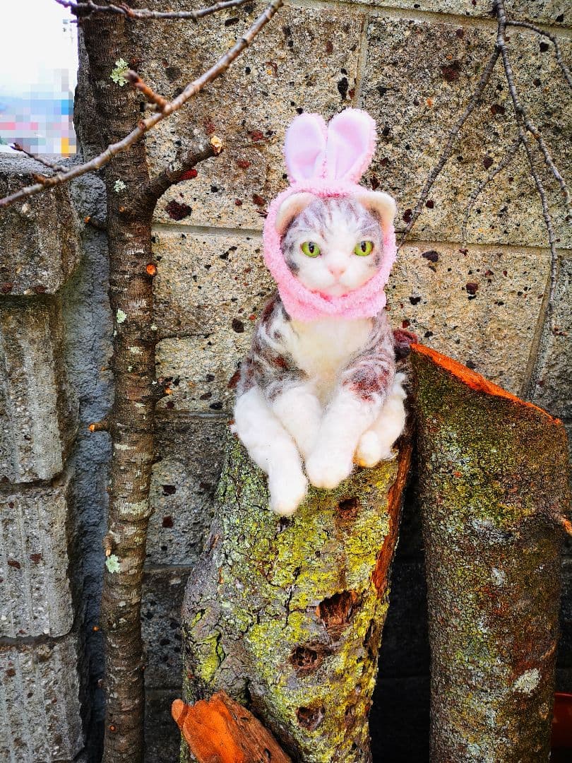 羊毛フェルト/猫バニーちゃん