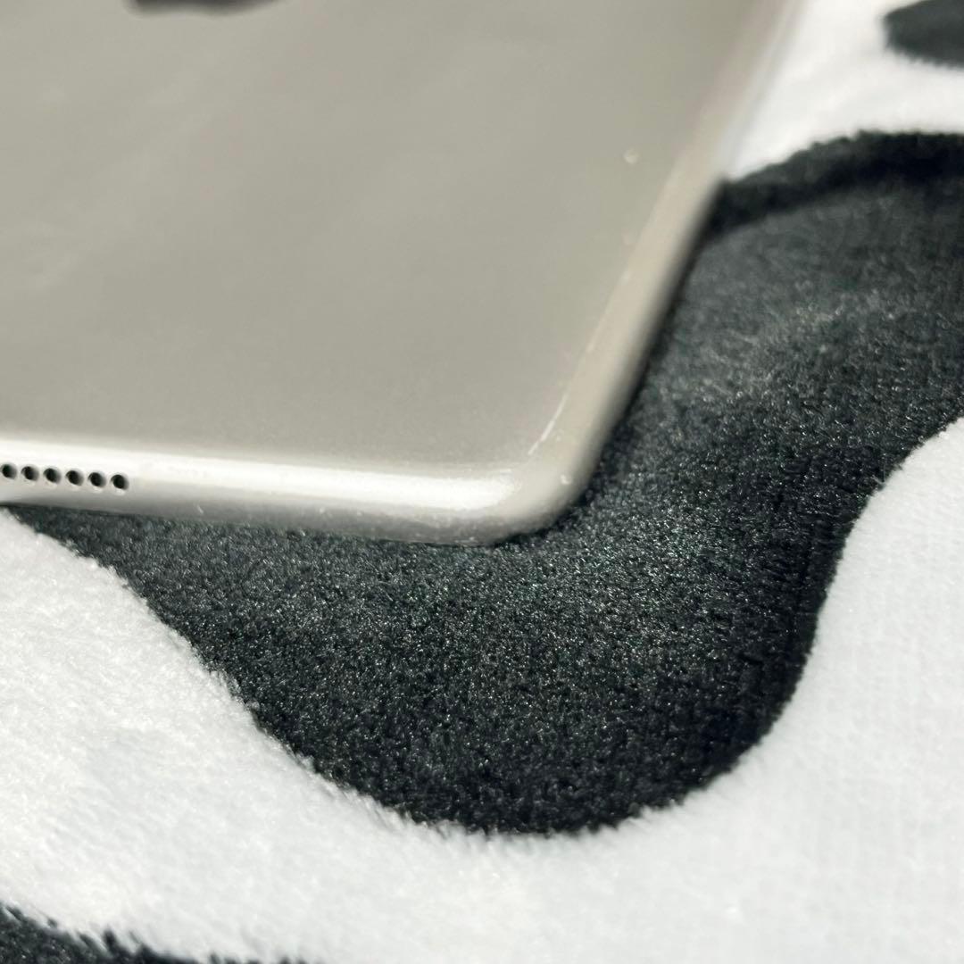 iPad Pro 10.5インチ 512GB WiFiモデル ※訳あり