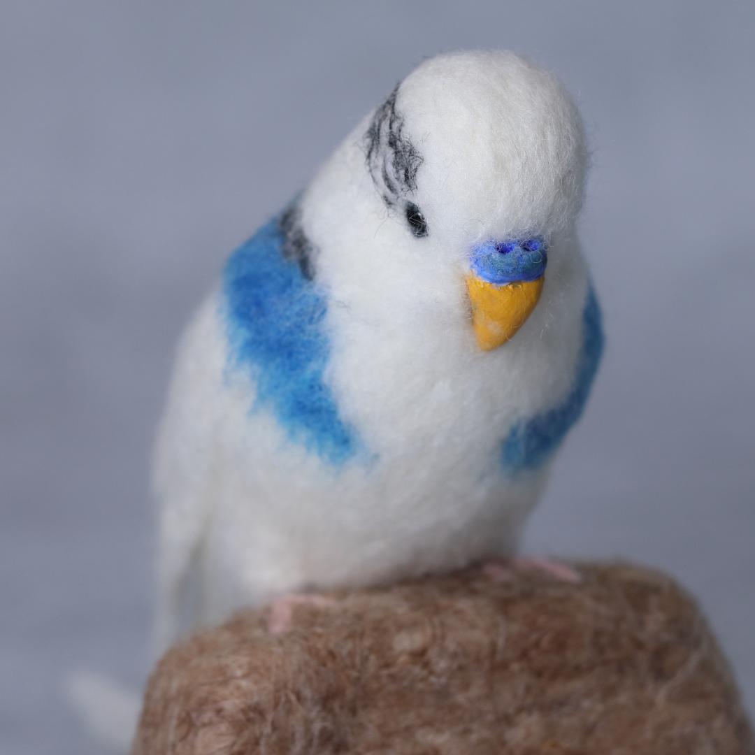 羊毛フェルト しゅんのパパさま セキセイインコ 小鳥 ハンドメイド オーダー