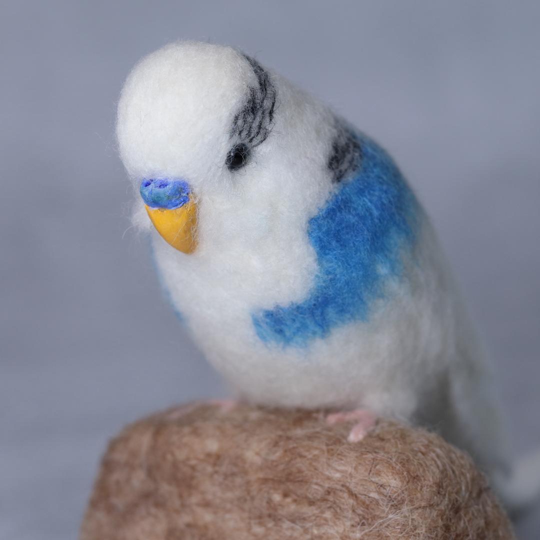 羊毛フェルト しゅんのパパさま セキセイインコ 小鳥 ハンドメイド オーダー