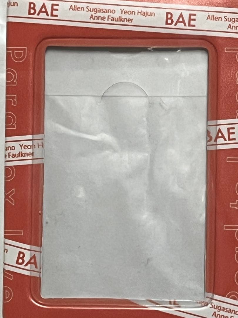 パラライ　燕夏準　BAE グッズ　まとめ売り