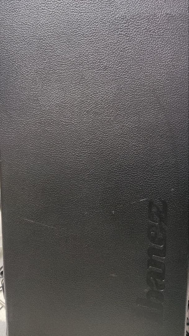 ギター Ibanez /JakeBowen 7-Strings JBM