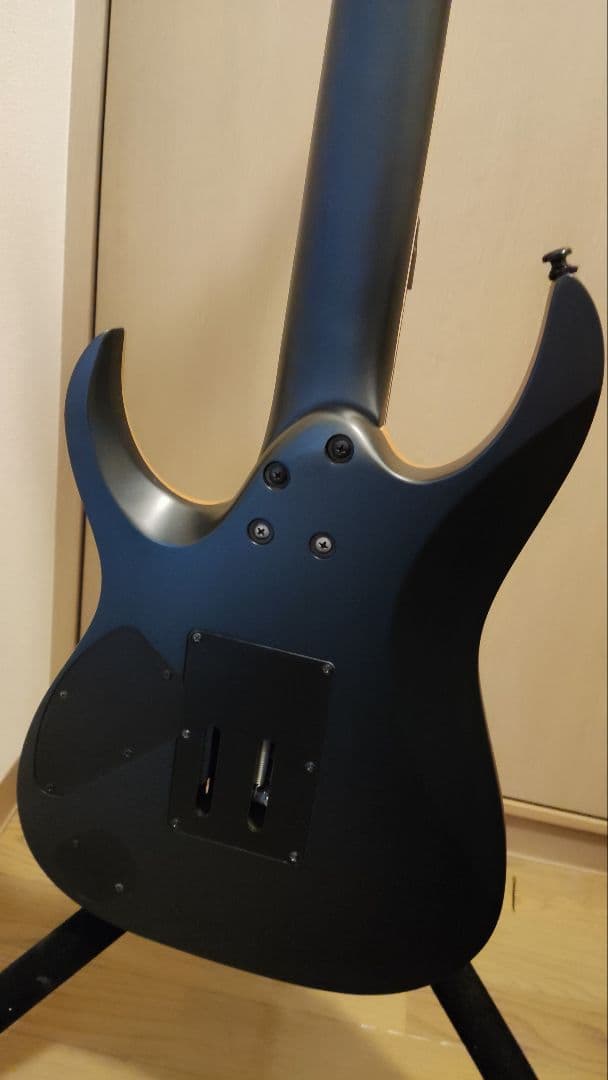 ギター Ibanez /JakeBowen 7-Strings JBM