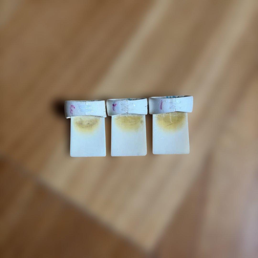 蒔絵入　琴13弦　会津桐　竜手付(布カバー・キャリングケース・箏柱・箏爪一式)