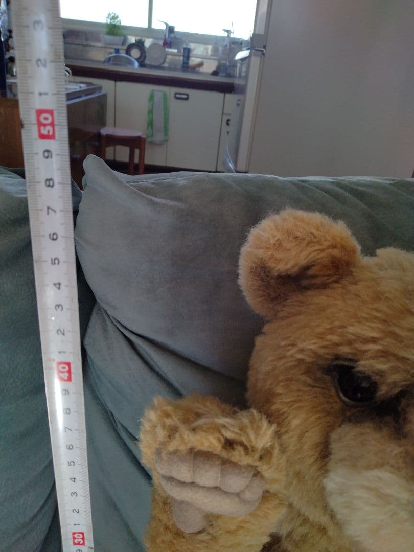 テディベア　ゴトウユミコさん作