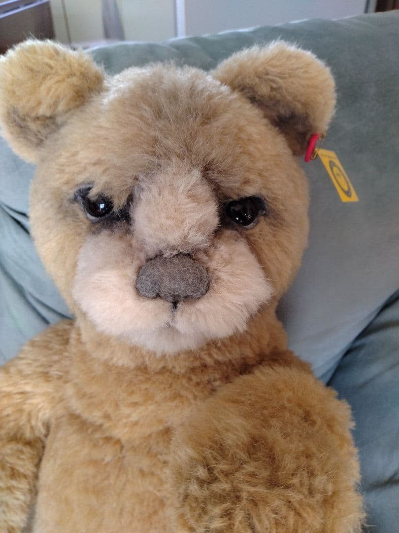 テディベア　ゴトウユミコさん作