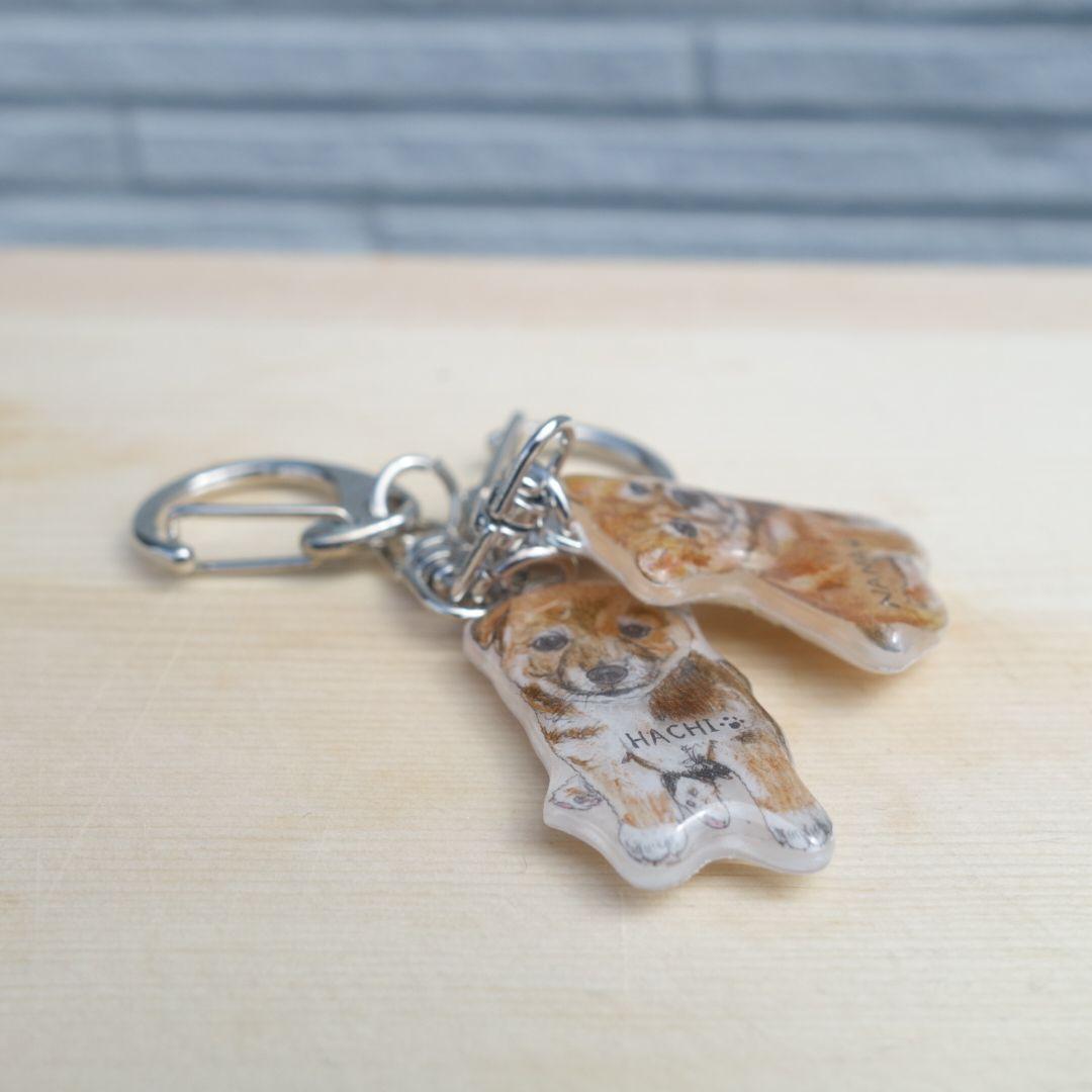 ★ペットの似顔絵★ 柴犬 犬 指輪 迷子札 キーホルダー