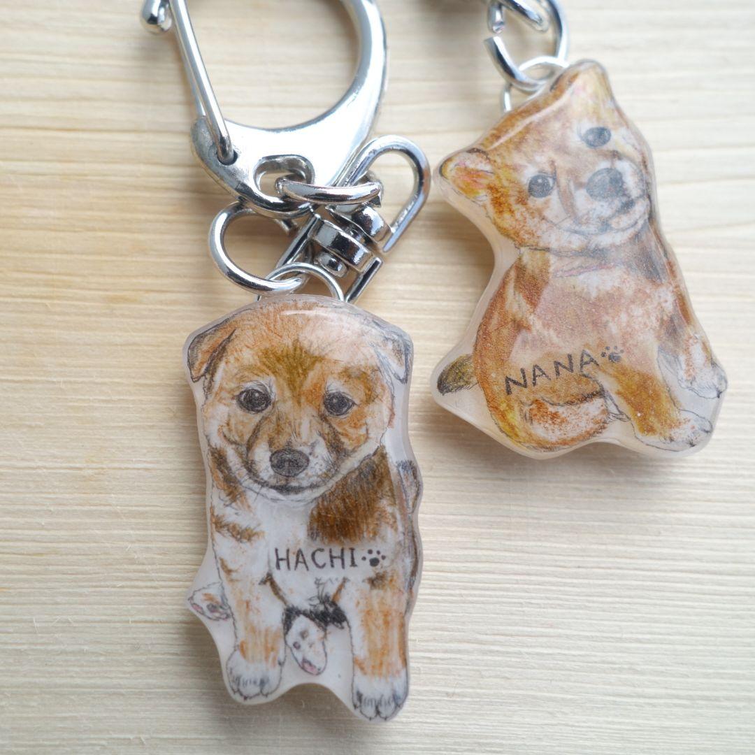 ★ペットの似顔絵★ 柴犬 犬 指輪 迷子札 キーホルダー