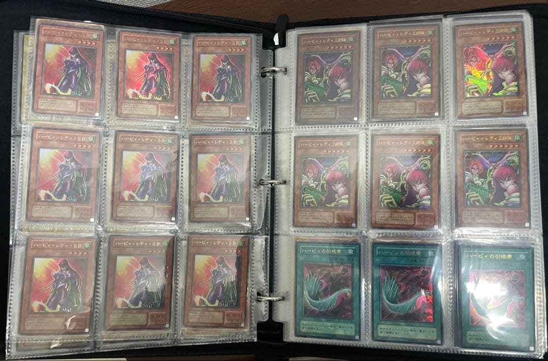 光の創造神 ホルアクティ PSA9 当選通知書・ADORENALINEケース付✨