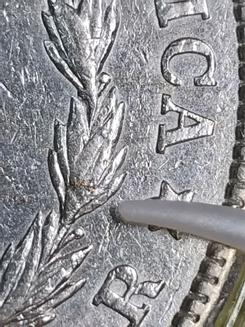 コ*ア様 pn444 エラー銀貨 1921年S. モルガン・ダラー 銀貨 cra
