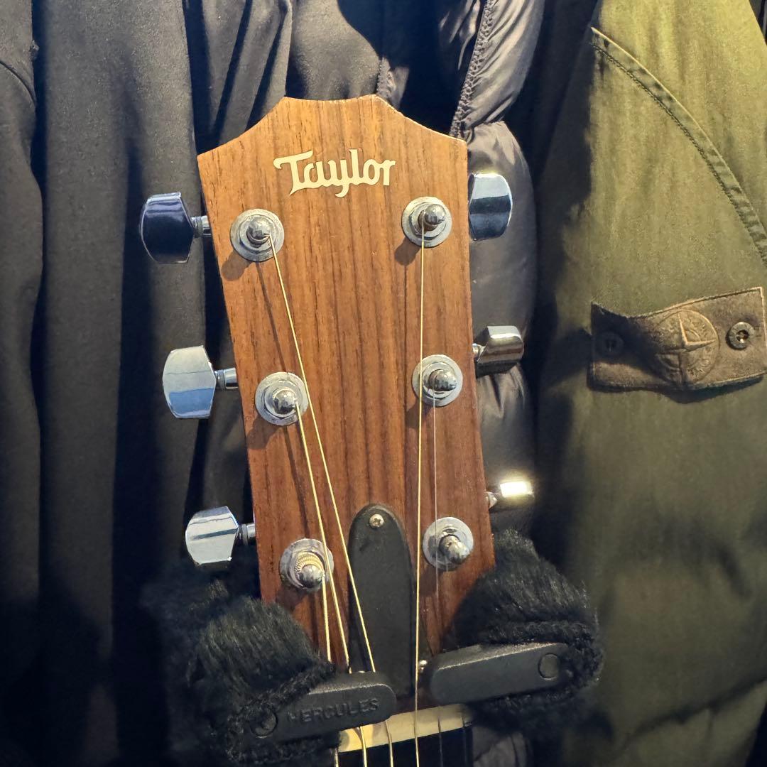 Taylor 214ce ES2 メンテ済み 美品 ギグバッグ付き ケース