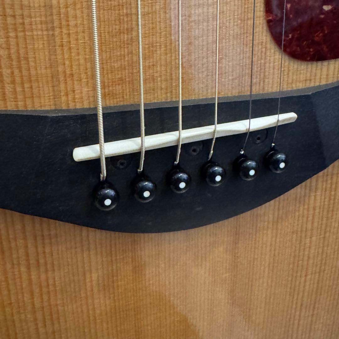 Taylor 214ce ES2 メンテ済み 美品 ギグバッグ付き ケース