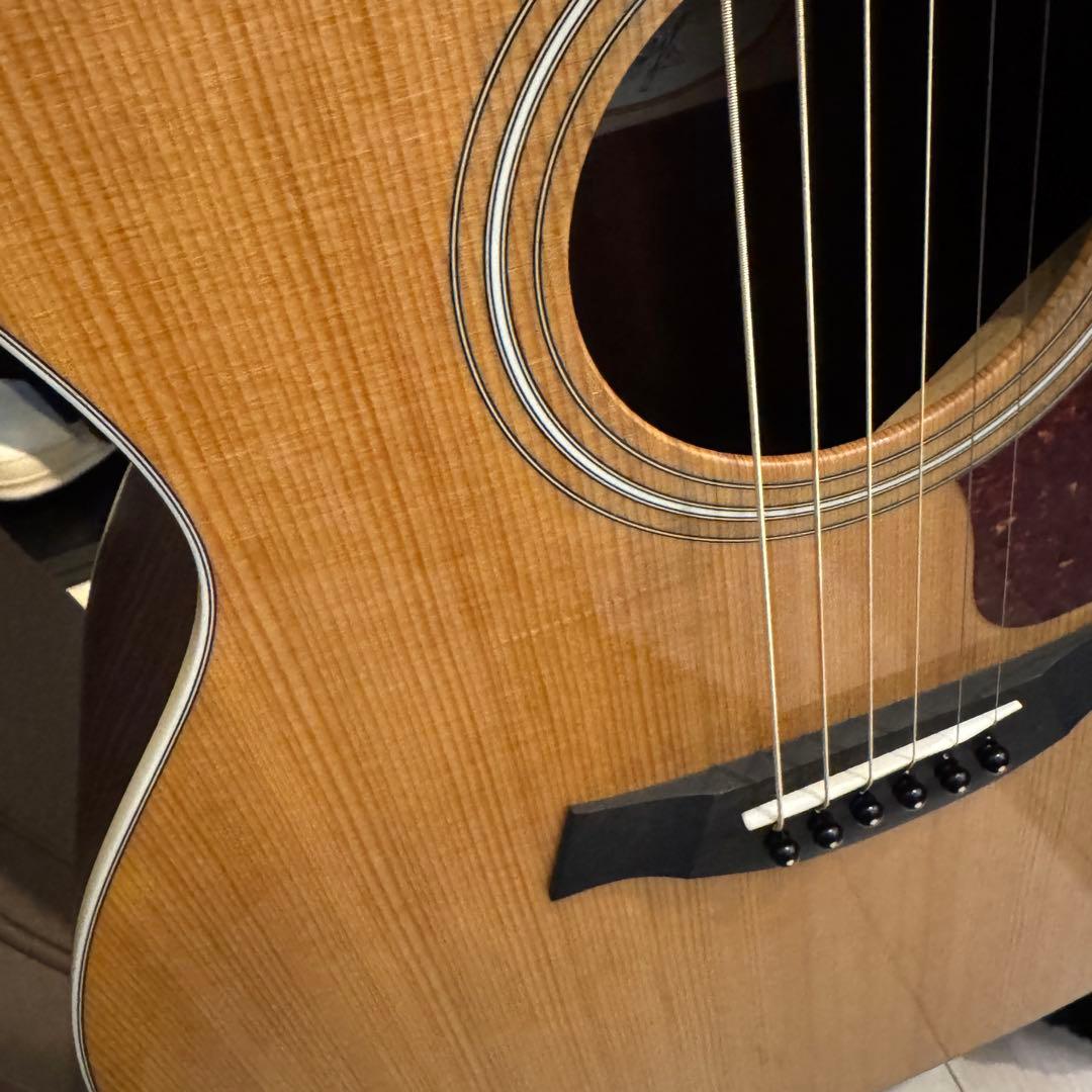 Taylor 214ce ES2 メンテ済み 美品 ギグバッグ付き ケース