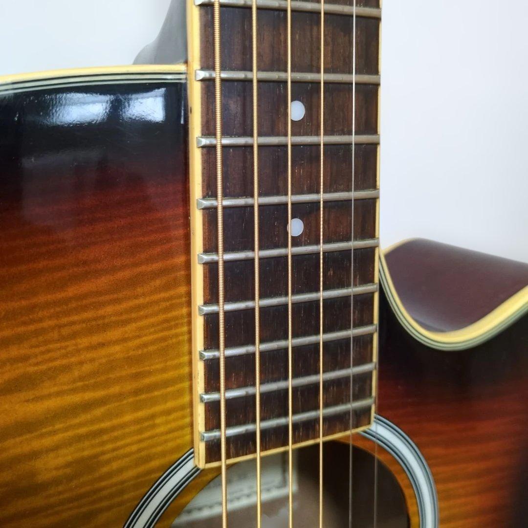 Pro Martin EA500W VS エレアコ