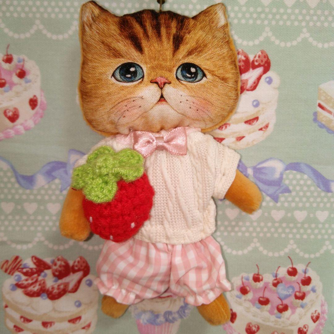 ＊コヤンイサムチョン＊薄型のぬいぐるみ[ちゃんとチェックちゃん♥]