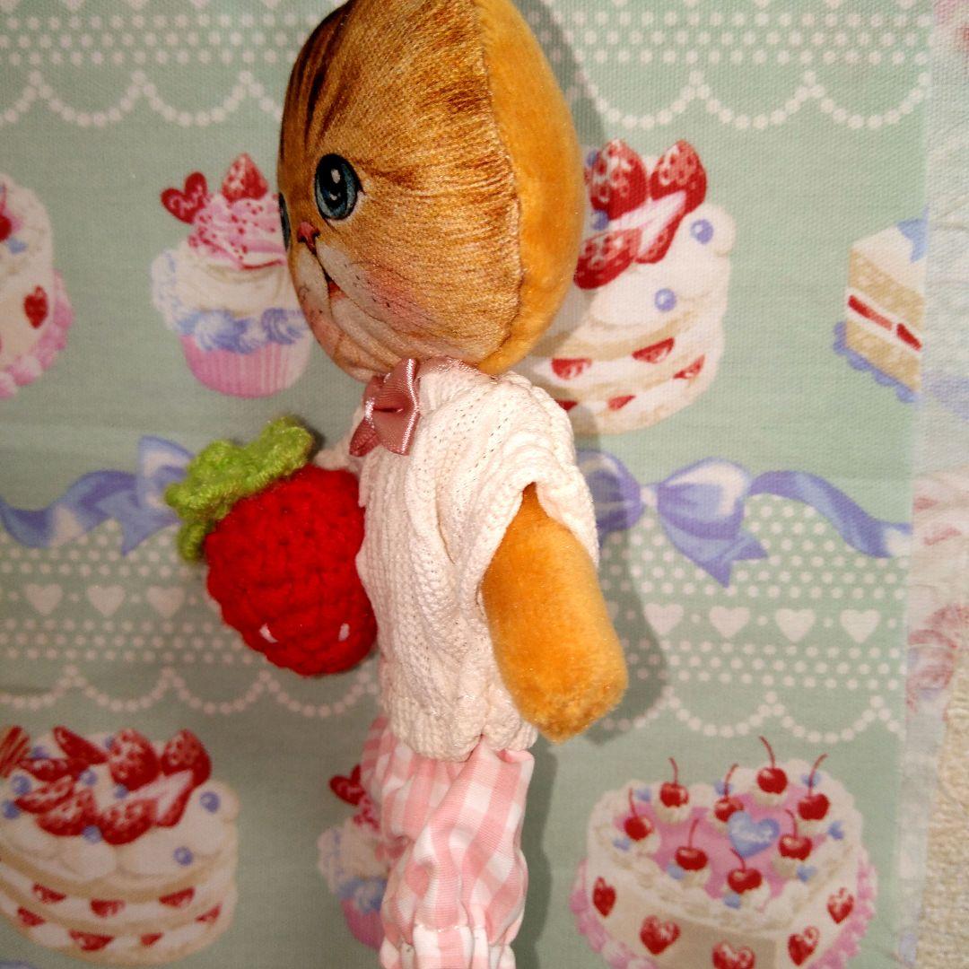 ＊コヤンイサムチョン＊薄型のぬいぐるみ[ちゃんとチェックちゃん♥]