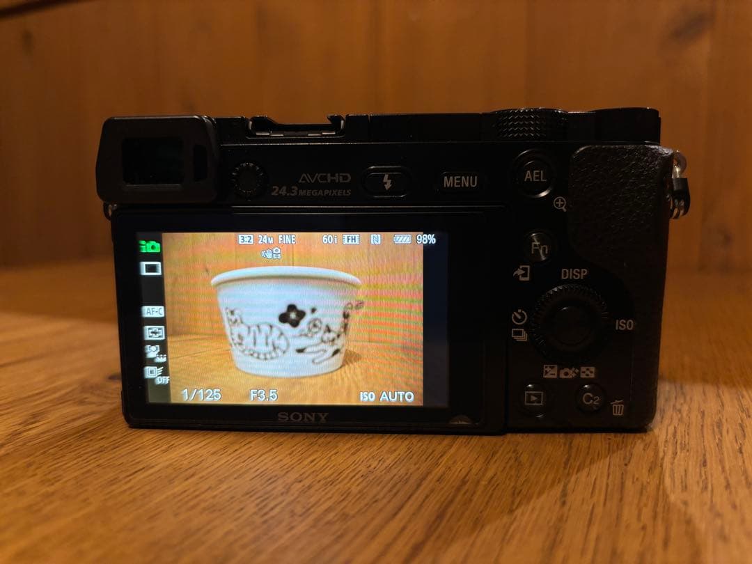 SONY α6000 ダブルズームレンズキット ILCE-6000Y