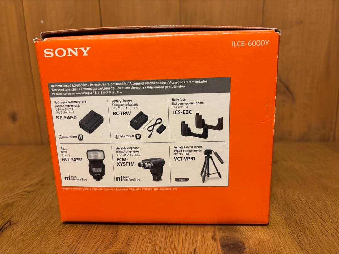 SONY α6000 ダブルズームレンズキット ILCE-6000Y