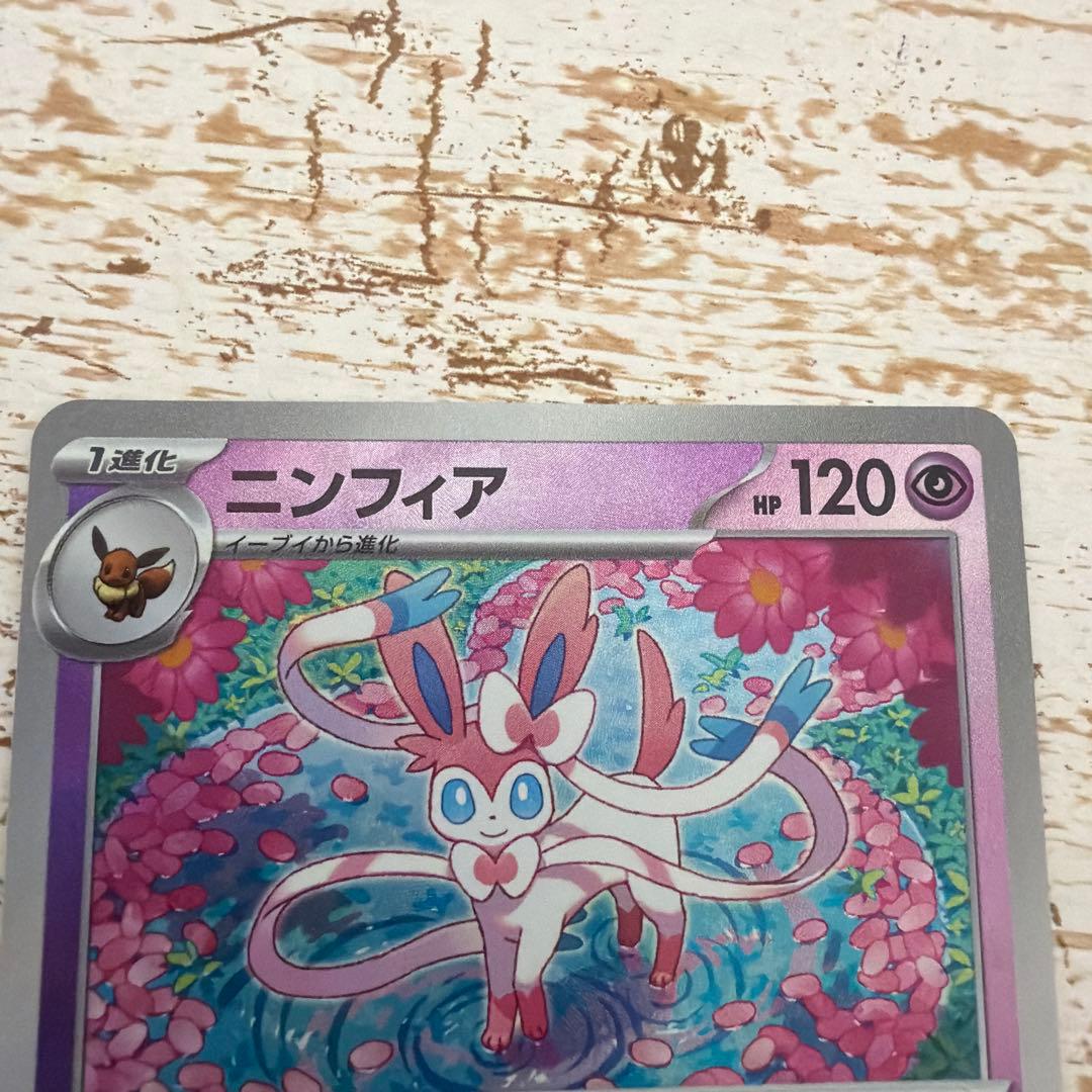 テラスタルフェスex シュリンク付き　1BOX メイのはげまし SAR 他