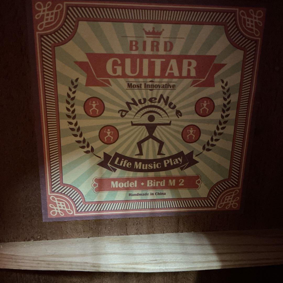 アヌエヌエ　アコギ