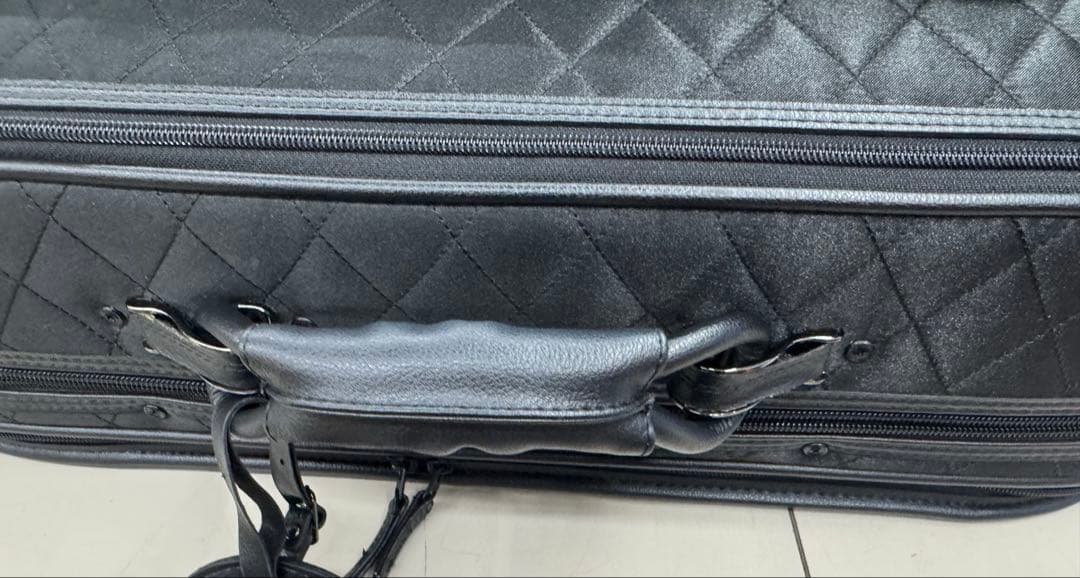 NEPTUNE 管楽器用軽量 ケース アルトサックス用 AS-830