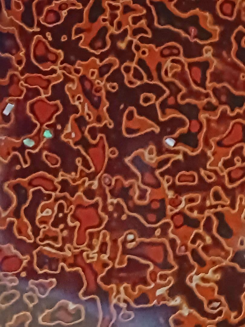 こたつ天板 螺鈿 会津塗